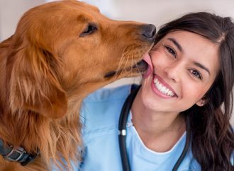 5 Must-Try Veterinary Marketing Ideas