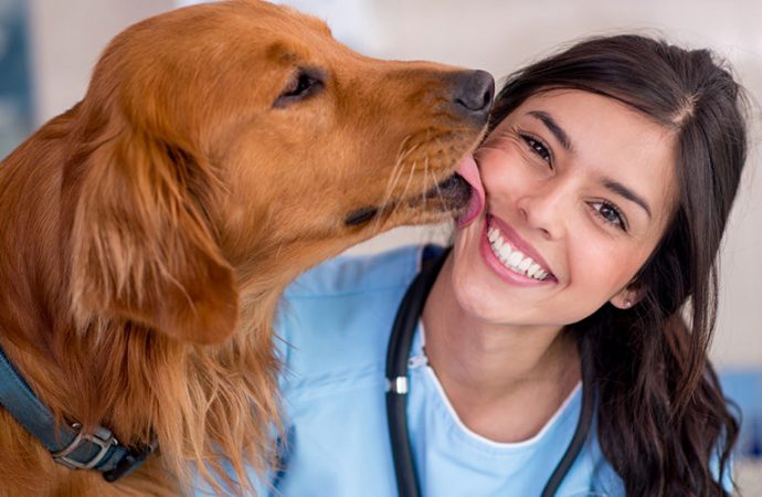 5 Must-Try Veterinary Marketing Ideas